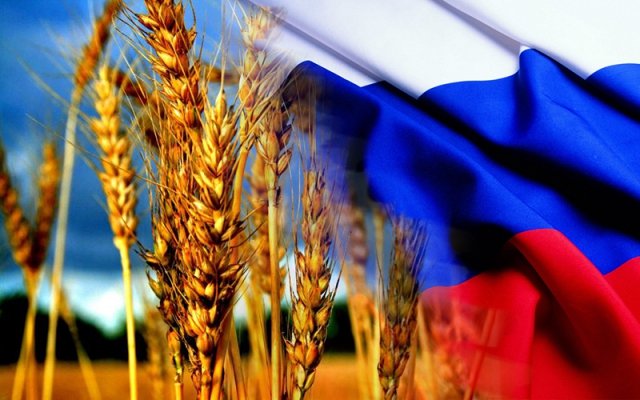 В Минсельхозе России разработали проект стратегии развития зернового комплекса