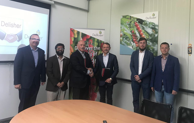 «ЭКО-культура» заключила эксклюзивное соглашение с голландским поставщиком семян