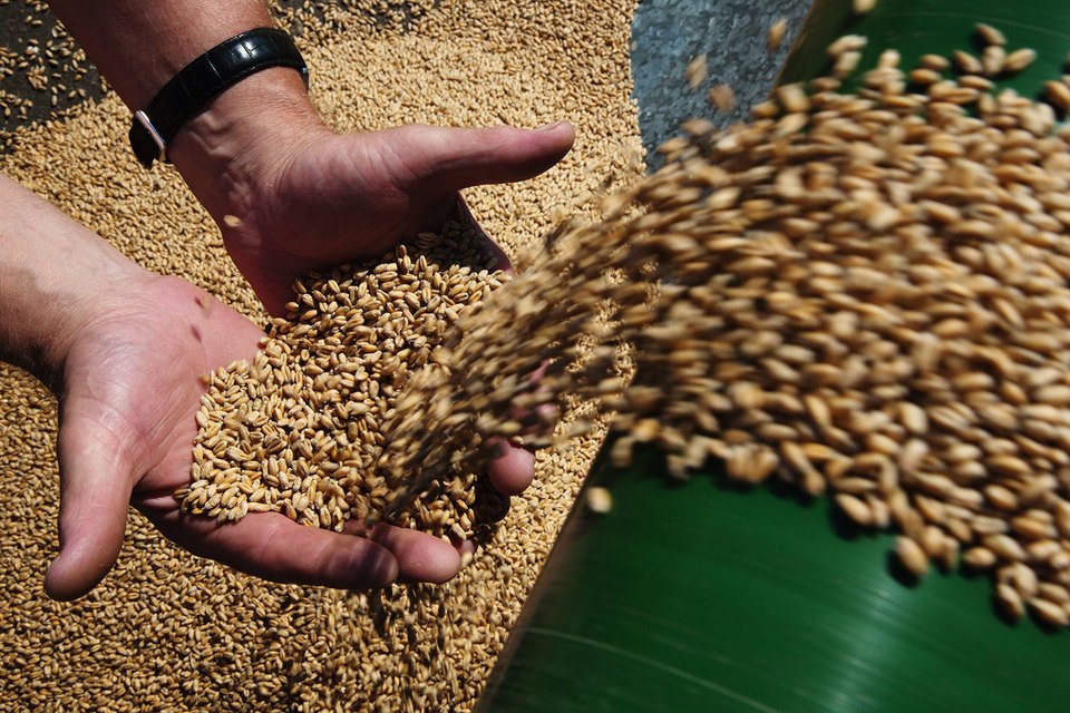Минсельхоз согласовал с ФАС предельные уровни минимальных цен на зерно урожая 2018 года в целях проведения интервенций