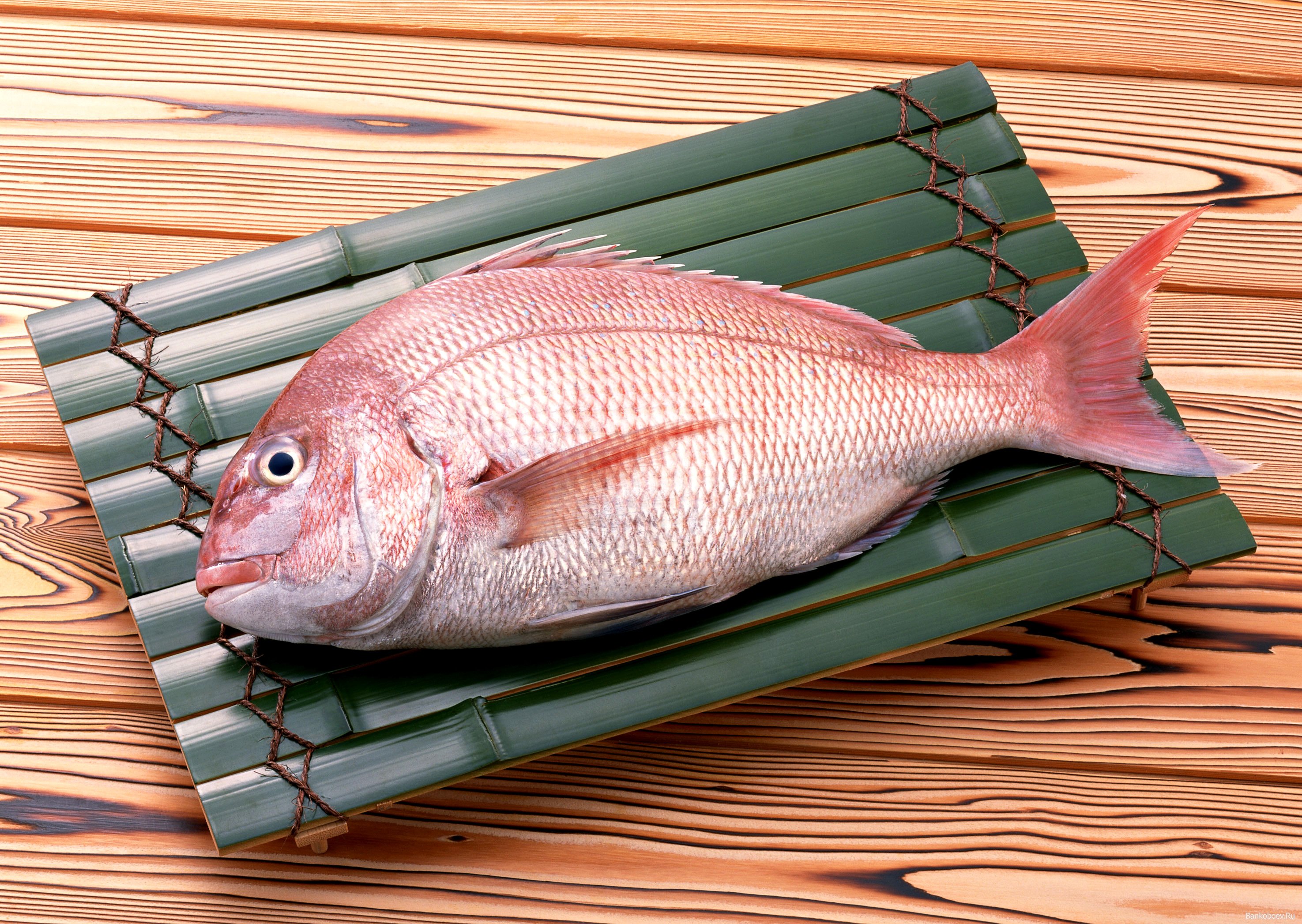 В Краснодаре обсудили состояние рыбоводческой отрасли