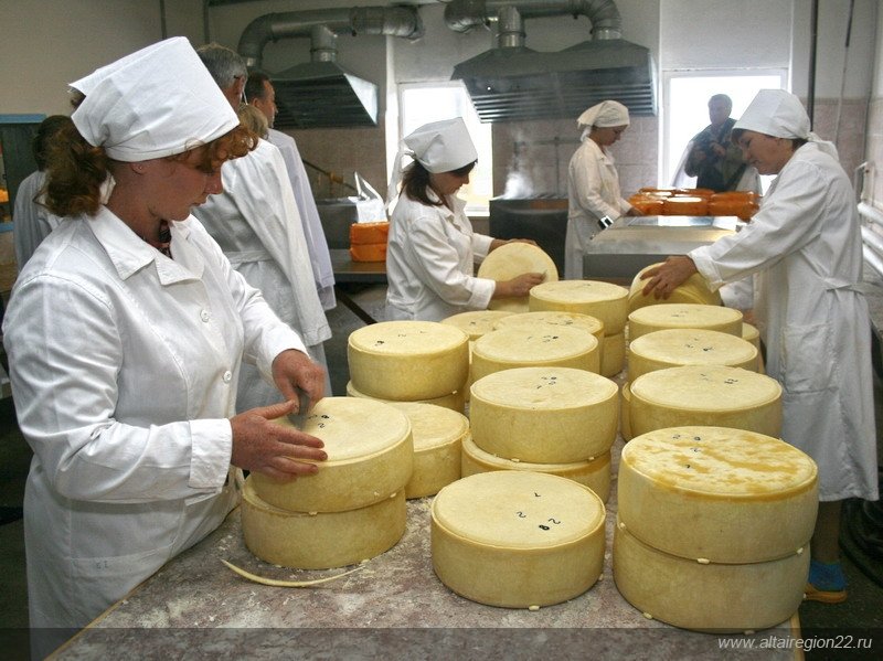 В России будут производить на 20% больше сыра