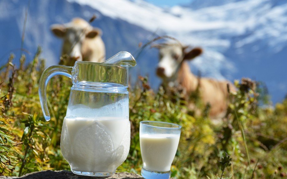 Закупочные цены на молоко растут