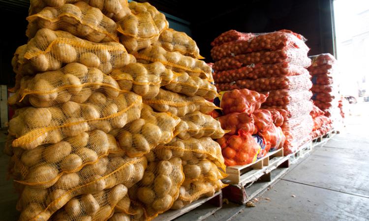 Россия вдвое увеличила ввоз импортного картофеля
