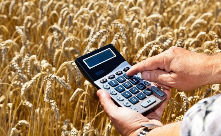 В 1 квартале 2017 года Краснодарский филиал Россельхозбанка направил аграриям более 22 млрд рублей