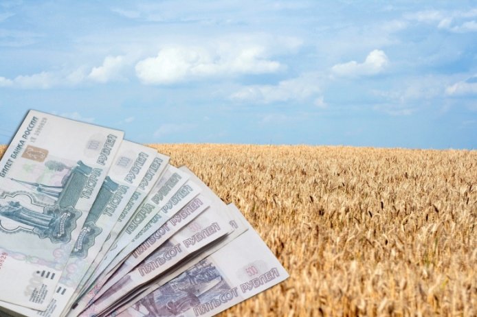 Кредитовать сельское хозяйство теперь могут более ста банков 