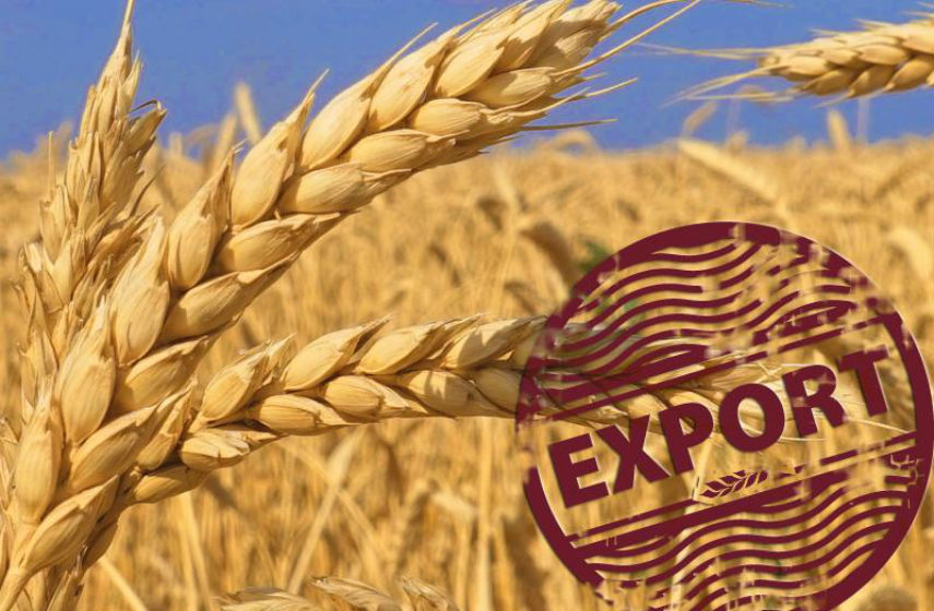 Экспортные цены на пшеницу достигли максимума с декабря 2014 года