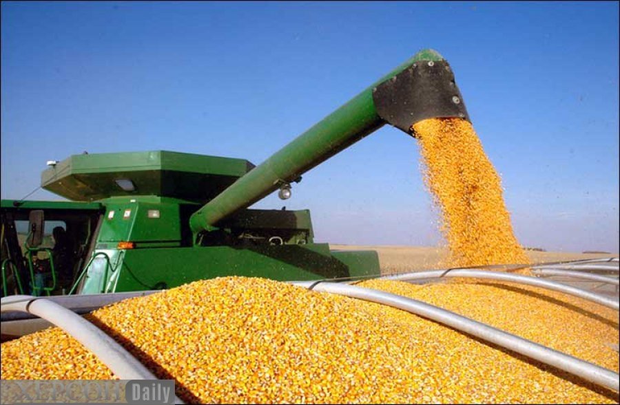 Урожай зерновых в Украине в 2018 году достиг рекордных 70 млн тонн