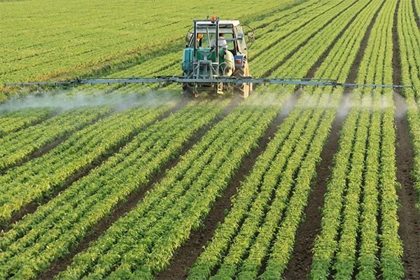 Лидеры мирового рынка призывают подписать петицию в поддержку производителей гербицидов, происходящих из ЕС