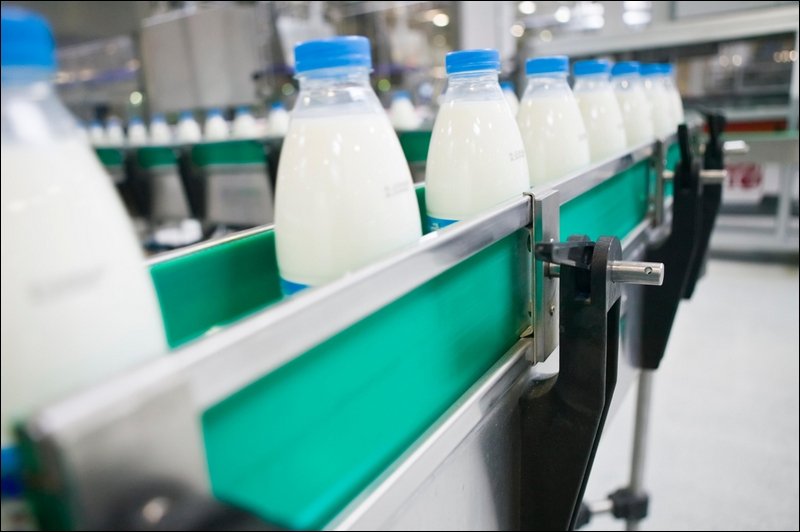 В Московской области впервые за десять лет ожидается рост производства молока