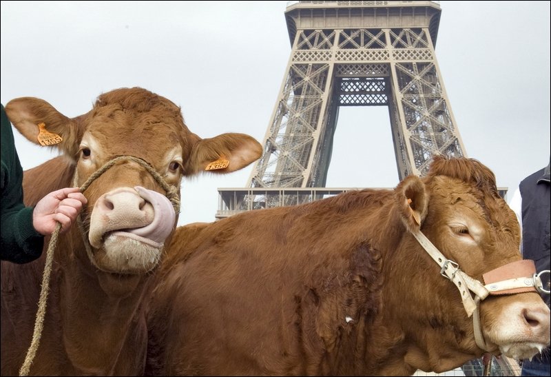США сняли запрет на импорт мяса из Франции, действовавший 19 лет