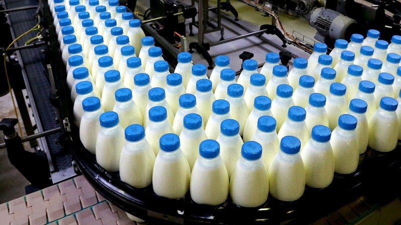 РСХБ поддержит создание крупного молочного кластера в Воронежской области
