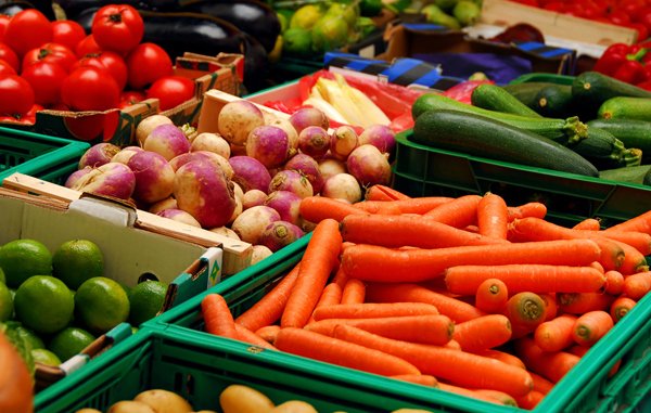Экспорт российских овощей растет