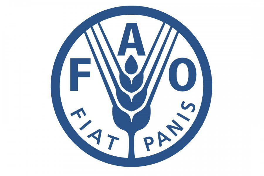 ФАО: Мировые рынки продовольственных товаров остаются хорошо сбалансированными