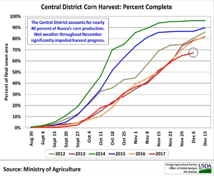 Декабрьские прогнозы USDA по урожаю кукурузы в России