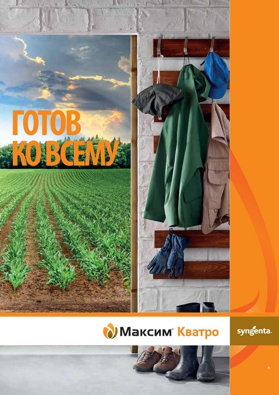 «Сингента» представляет в России новый стандарт обработки семян кукурузы
