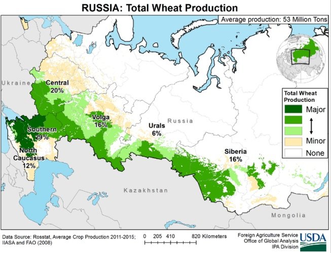 Минсельхоз США: отчеты в России говорят о рекордном урожае пшеницы