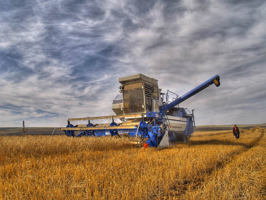 Украина надеется пополнить казну за счет зерна
