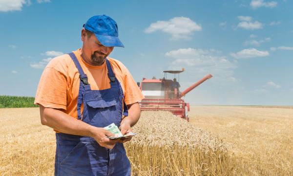 Россельхозбанк сократил сроки выдачи фермерских займов до трех дней