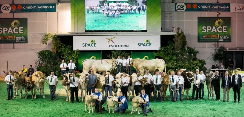 Во Франции прошел один из крупнейших салонов животноводства — SPACE-2017