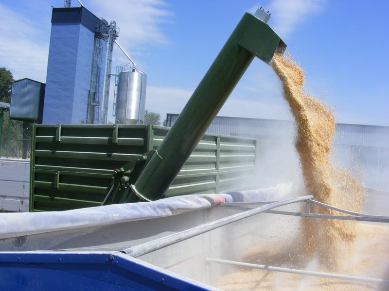 Украине, возможно, придется снизить цену на пшеницу, чтобы конкурировать с российским урожаем