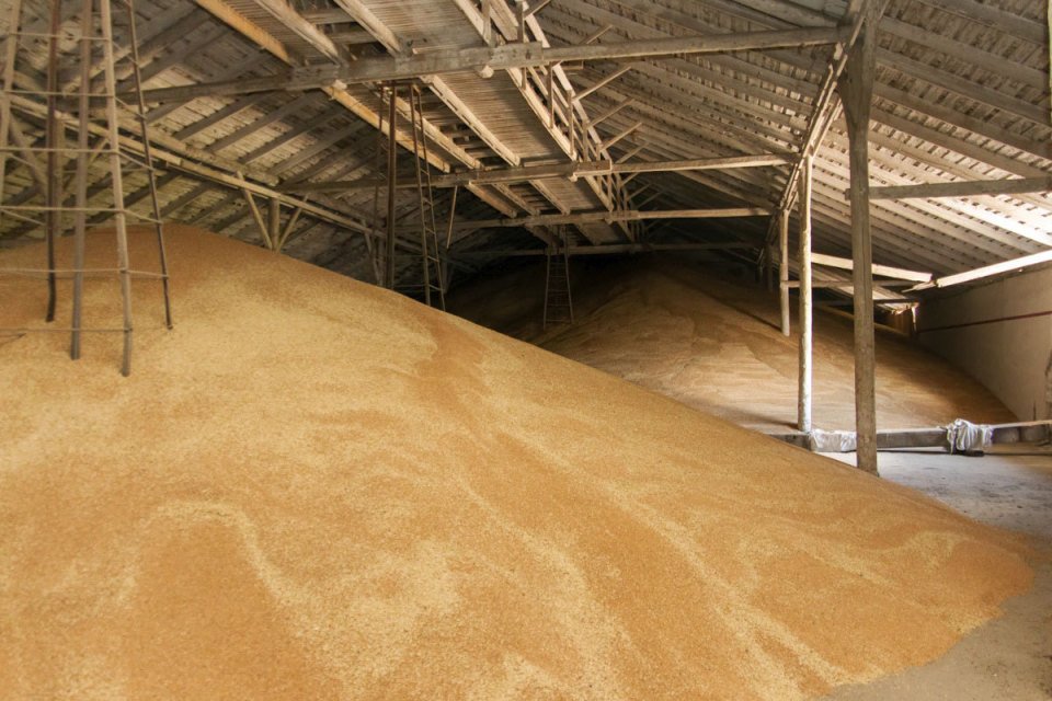Запасы зерна в России быстро сокращаются