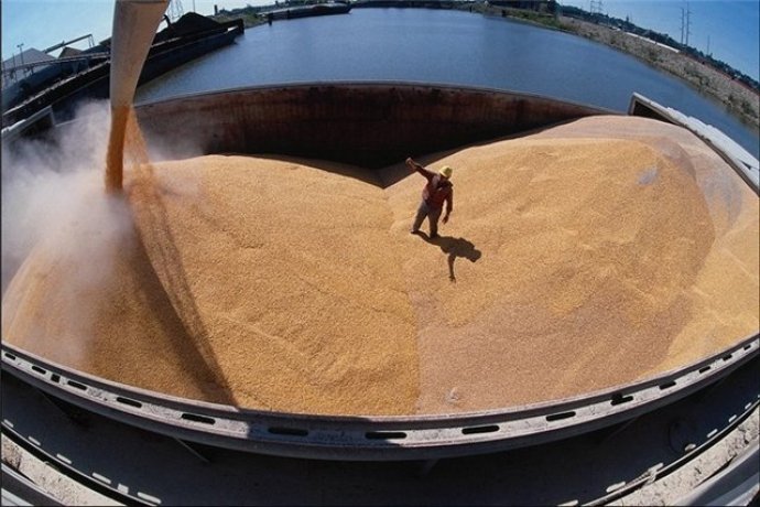 ФТС: Российский экспорт пшеницы вырос в январе-октябре 2017 года на 23% 