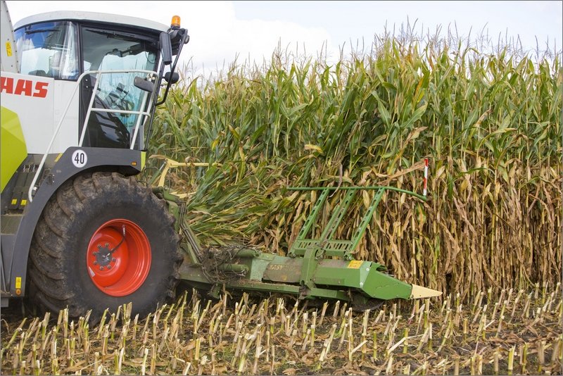 Теперь Krone предлагает кукурузную жатку EasyCollect FP и для других производителей комбайнов
