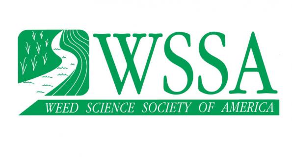 WSSA: Отсутствие контроля за сорняками приведет к потери половины урожая кукурузы и сои