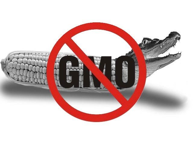 Государственная Дума рассматривает законопроект о запрете ГМО