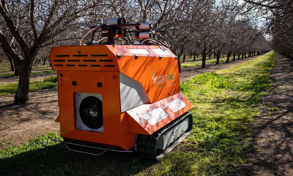 Робот, сбивающий зараженные орехи, выиграл в конкурсе «Агроробот года»