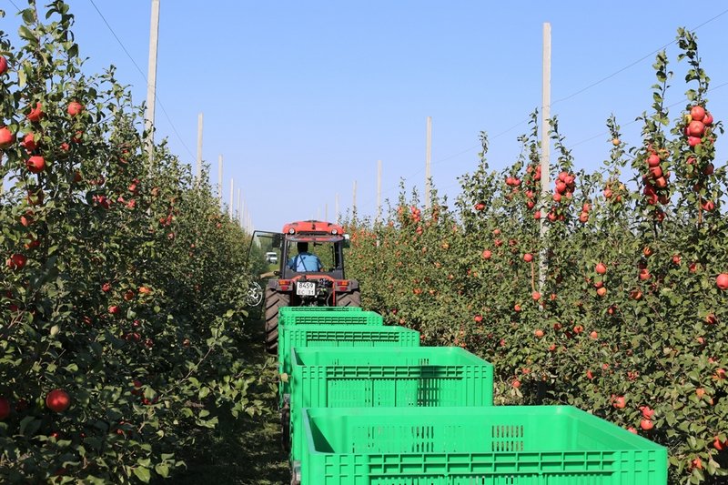 «Агро-Белогорье» построит фруктохранилище вместимостью 5000 тонн