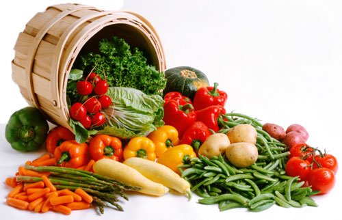 В Татарстане ожидается рекордный урожай овощей