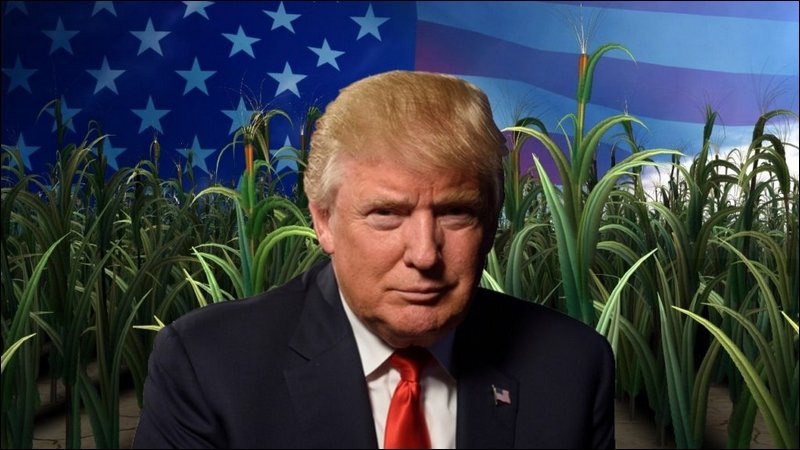 Трамп встречается с кандидатами на пост министра сельского хозяйства США