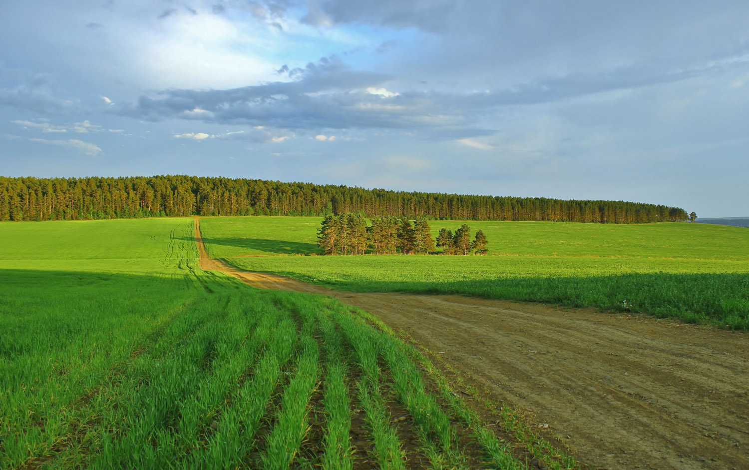 BEFL: Рейтинг крупнейших владельцев сельскохозяйственной земли в России на май 2019 года