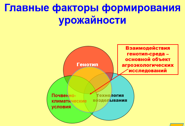1 схема доклада Кудряшова