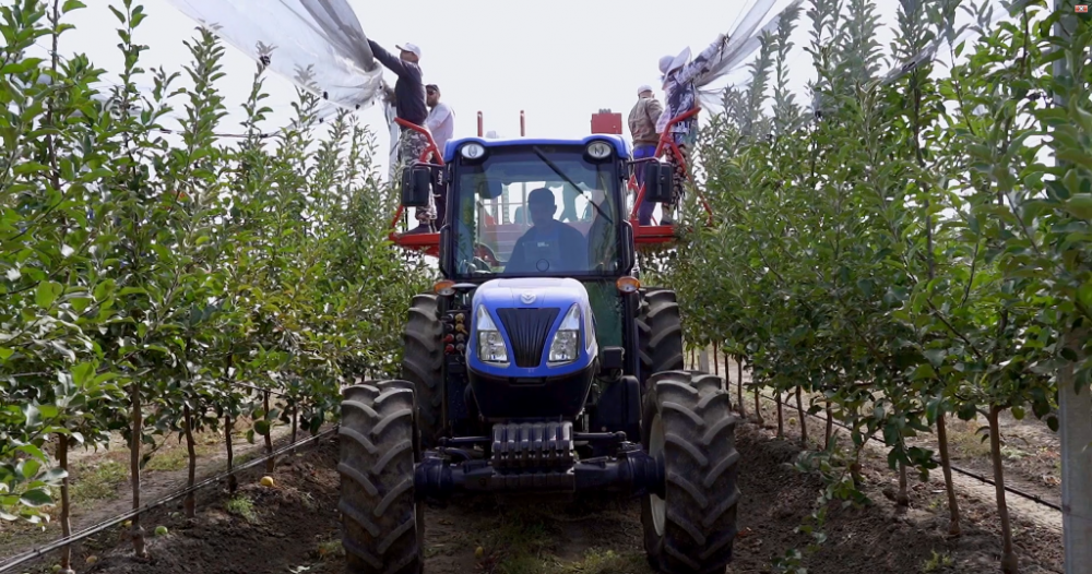 Опыт ставропольских садоводов в применении трактора New Holland