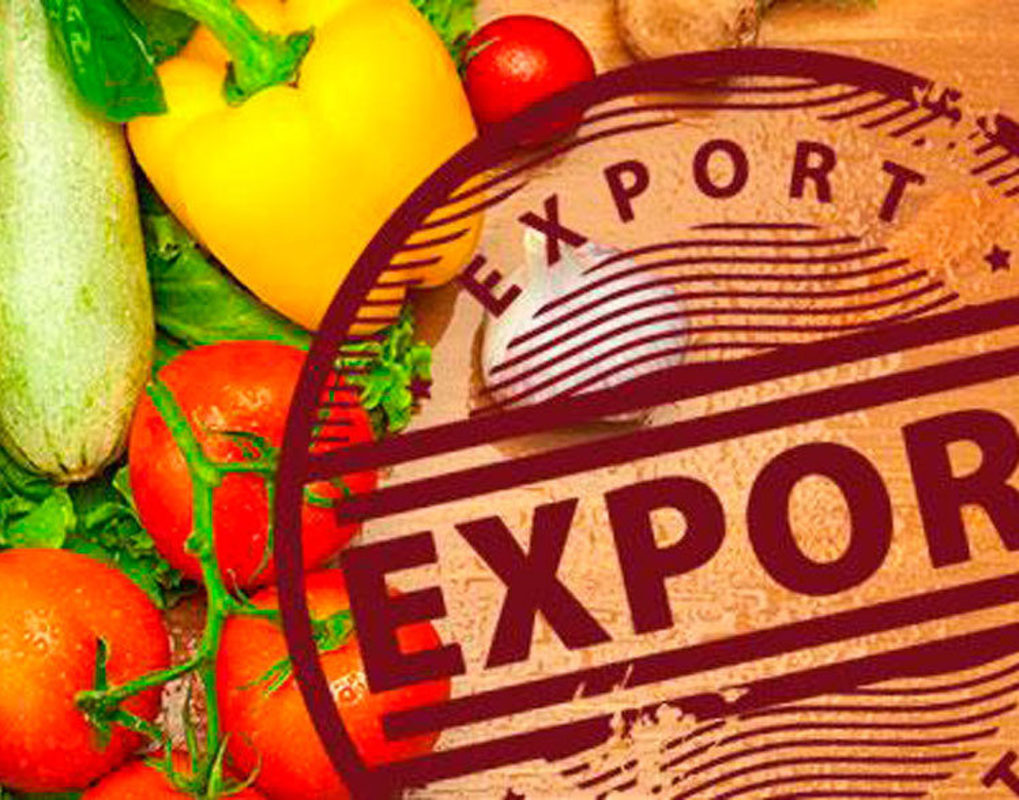 Красноярский край принял меры поддержки экспортеров органической продукции