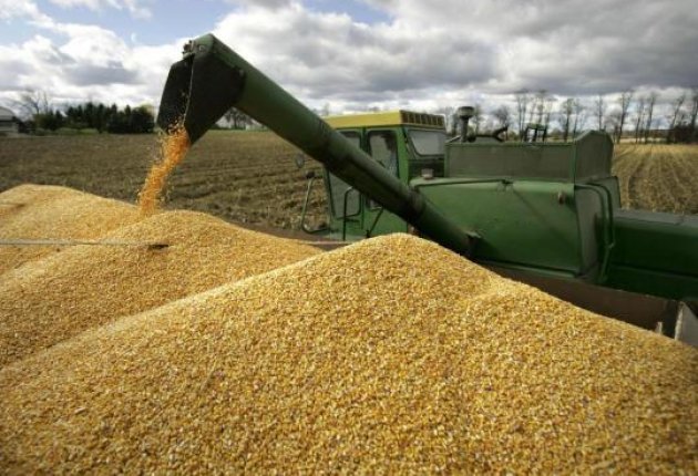 Китай снял запрет на ввоз российского зерна