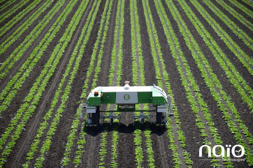 Strube начинает сотрудничество с Naïo-Technologies с целью разработки решения для сельхозробототехники