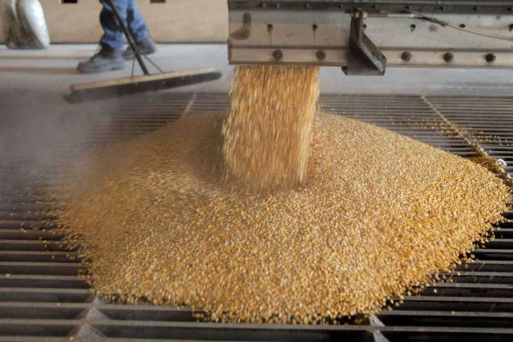 Ассоциация предприятий глубокой переработки зерна подводит итоги 2020 года