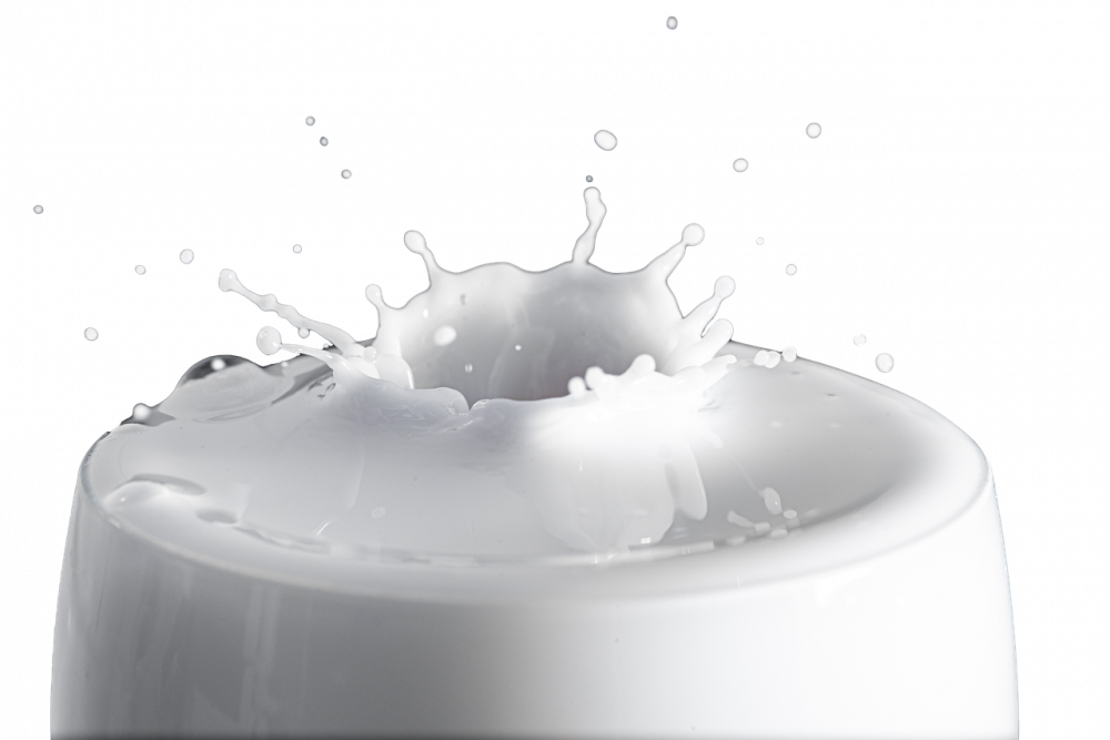 Ассоциация «Дамол»: все предприятия завершат подготовку ко второму этапу маркировки молока до 15 августа