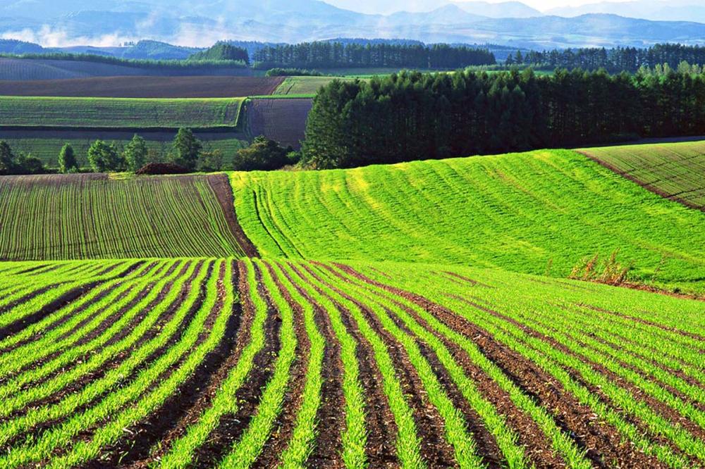 Corteva Agriscience будет предоставлять проектные гранты для развития сельскохозяйственной деятельности с положительным влиянием на климат