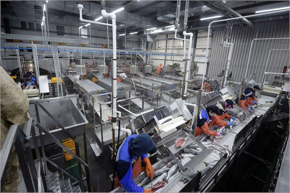 Производство российского пищевого оборудования выросло на 10% в 2020 году