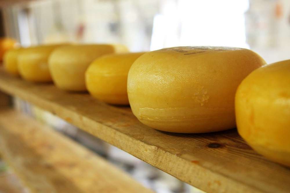 Производитель сыра "Умалат" проводит ребрендинг, изучает экспорт в дальнее зарубежье