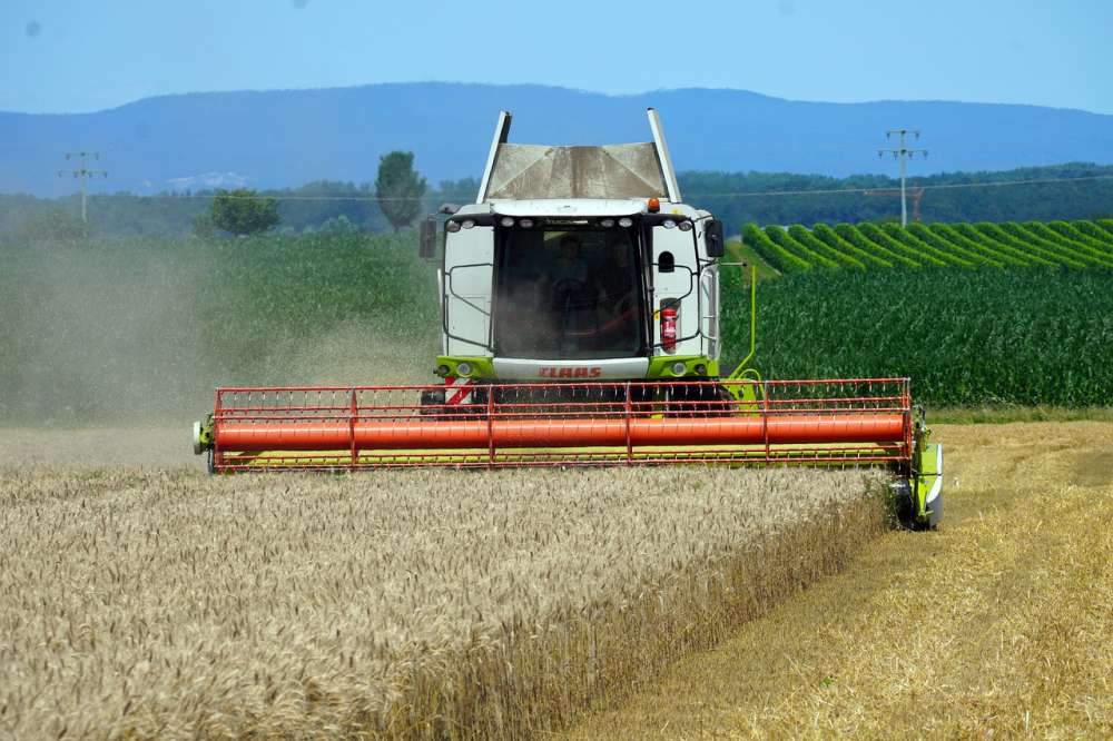 Сбор зерновых в России достиг 100 млн тонн