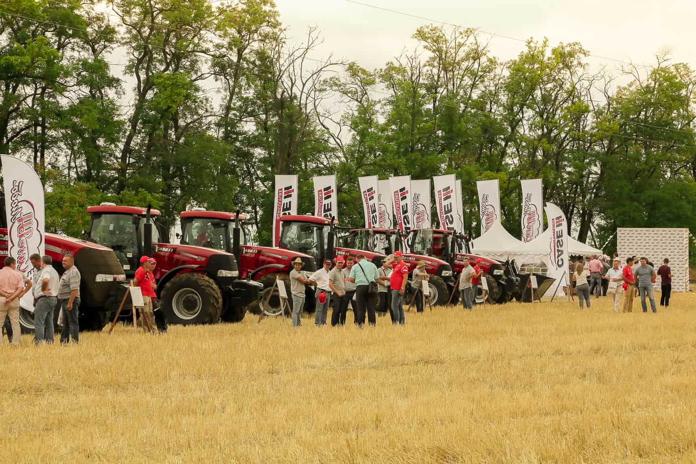 В Ростовской области прошел День поля Case IH