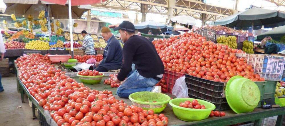 Экспорт помидоров из Марокко в Россию почти полностью прекратился в 2021 году