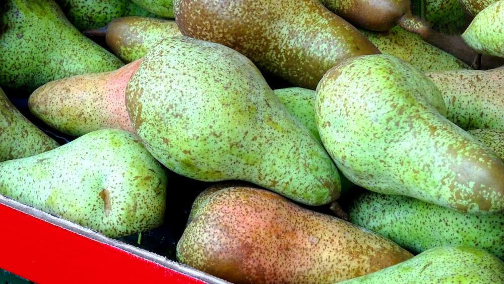 Россия продолжает оставаться крупным рынком для второсортных фруктов из Аргентины