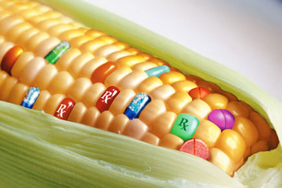 Казахстан: ГМО неизбежно