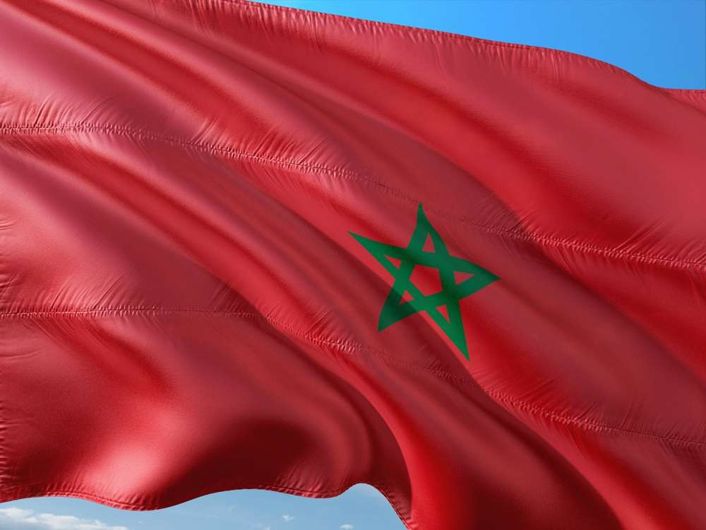 Производство цитрусовых в Марокко в этом сезоне упадет на 35%